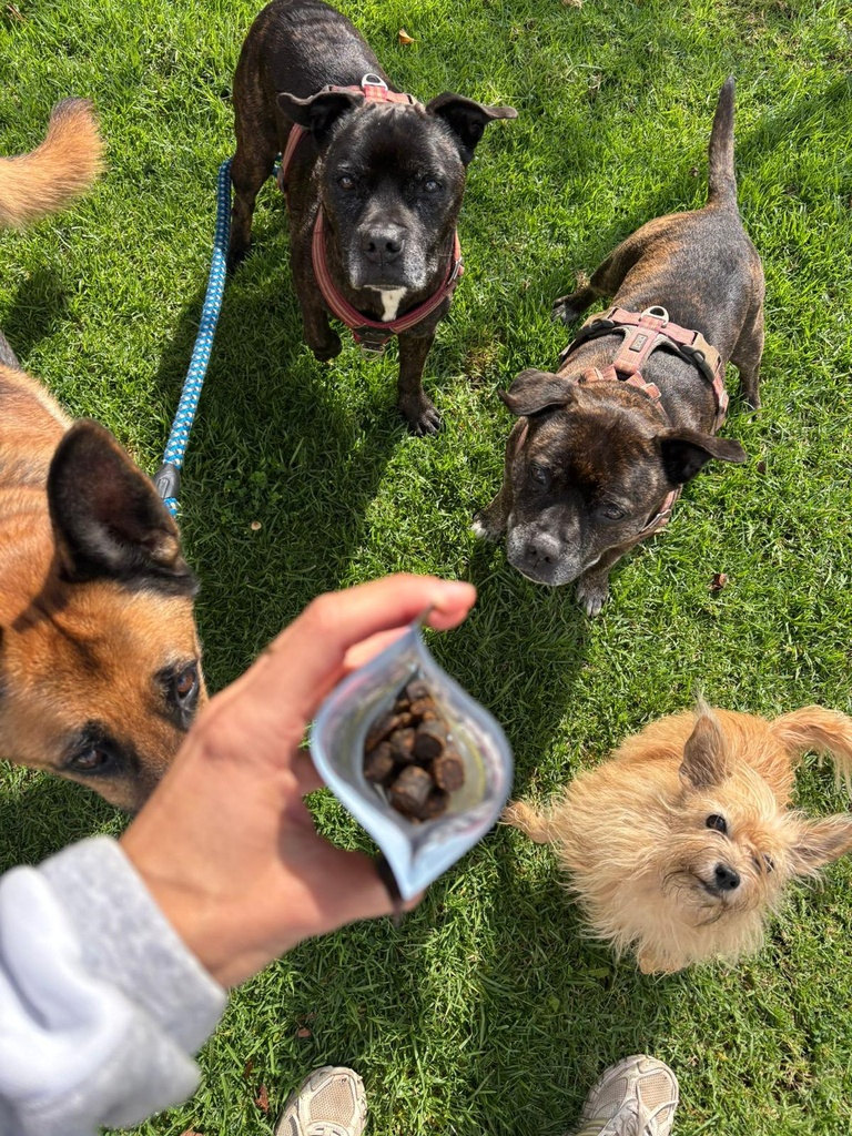 Snack de hígado de vacuno