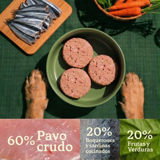 Menú Wild Balance Boquerón- Sardina cocinada y Pavo crudo