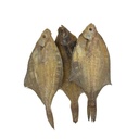 Lenguado