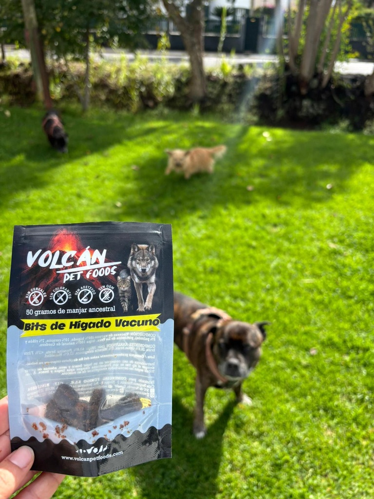 Snack de hígado de vacuno