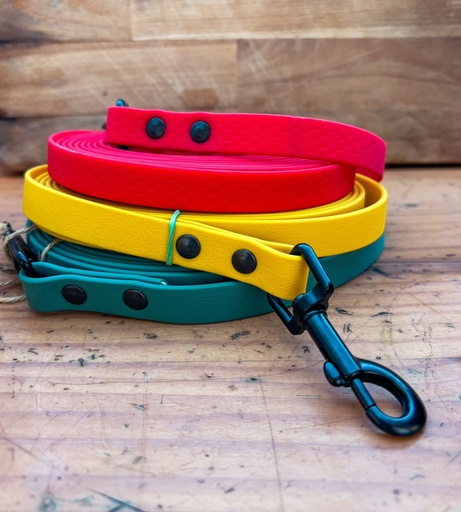 Correas de Biothane
