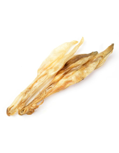 Oreja de conejo sin pelo