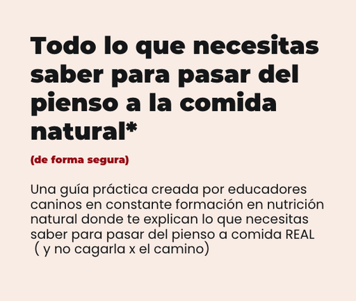 GUÍA: Cómo pasar del pienso a la comida natural (de forma segura)